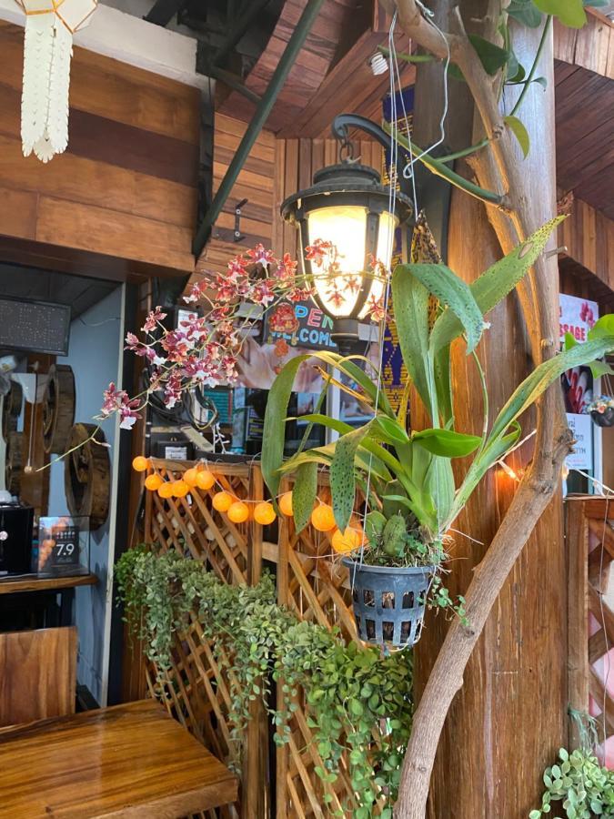 BB House Budget&Boutique Chiang Mai Extérieur photo