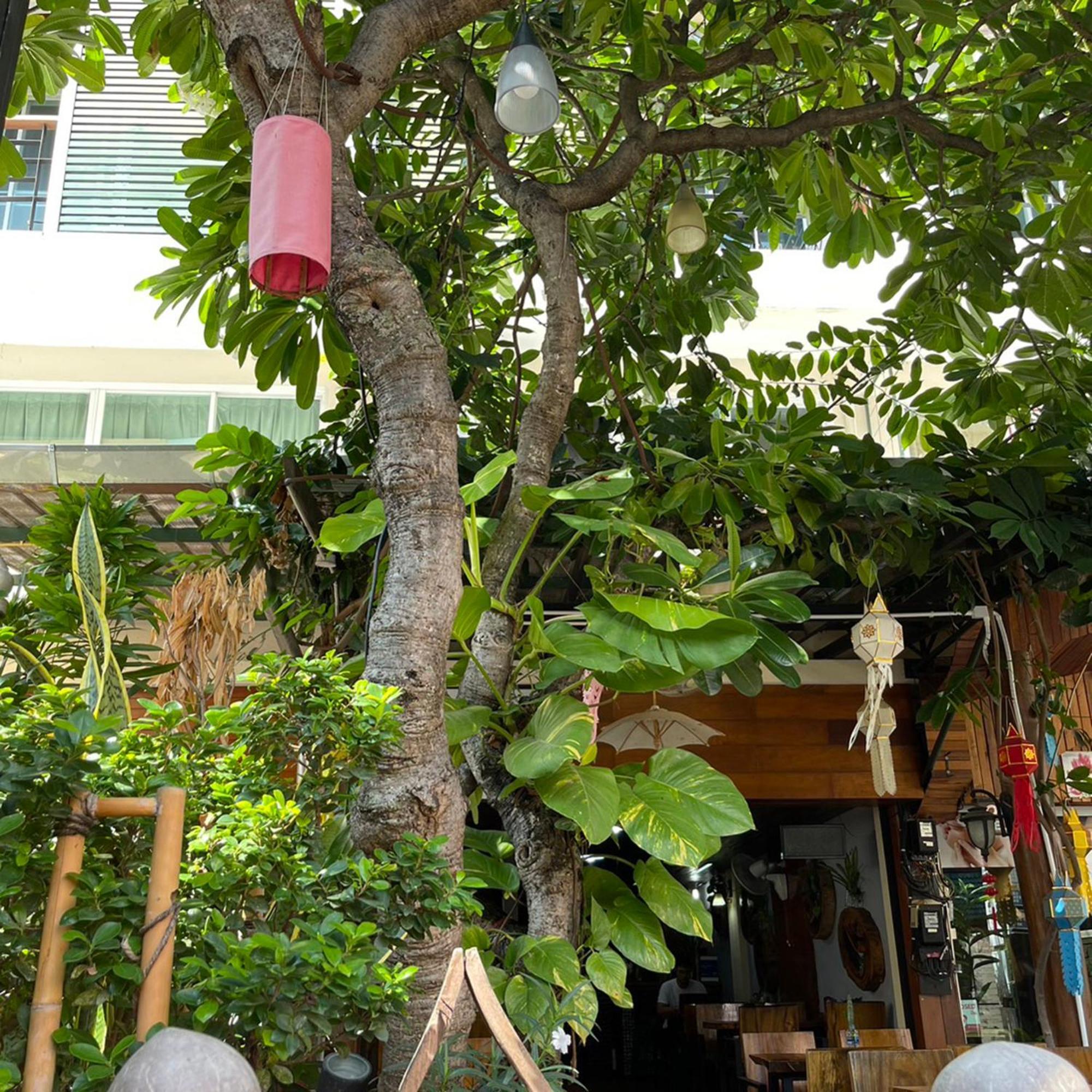 BB House Budget&Boutique Chiang Mai Extérieur photo